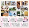 Miyan Vol.22(ルックル)