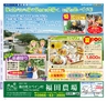 Miyan Vol.22(ルックル)