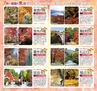 Miyan vol.23 (ルックル)