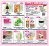 Miyan vol.23 (ルックル)
