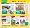 Miyan vol.23 (ルックル)