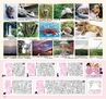 Miyan vol.24 (ルックル）