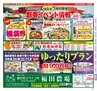 Miyan vol.25(ルックル)