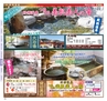 Miyan vol.25(ルックル)