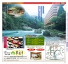 Miyan vol.25(ルックル)