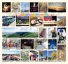 Miyan vol.25(ルックル)