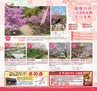 Miyan vol.26　(ルックル）