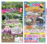 Miyan Vol.27 (ルックル）