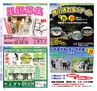 Miyan Vol.27 (ルックル）