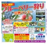 Miyan Vol.28 (ルックル)