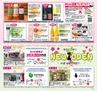 Miyan Vol.28 (ルックル)