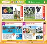Miyan Vol.29(ルックル)
