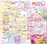 Miyan Vol.29(ルックル)