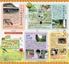 Miyan Vol.29(ルックル)