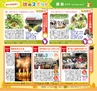 Miyan Vol.29(ルックル)