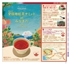 Miyan Vol.30　(ルックル）