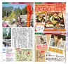 Miyan Vol.30　(ルックル）