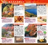 Miyan Vol.30　(ルックル）