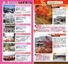 Miyan Vol.30　(ルックル）