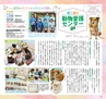 Miyan vol.31(ルックル）