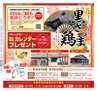 Miyan vol.31(ルックル）
