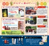 Miyan vol.31(ルックル）