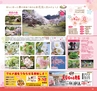 Miyan vol.32(ルックル)