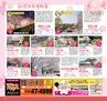 Miyan vol.32(ルックル)