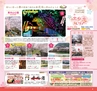Miyan vol.32(ルックル)