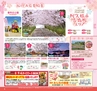 Miyan vol.32(ルックル)