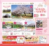 Miyan vol.32(ルックル)