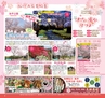 Miyan vol.32(ルックル)