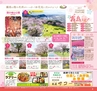 Miyan vol.32(ルックル)
