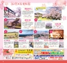 Miyan vol.32(ルックル)