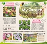 Miyan vol.33
