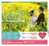 Miyan vol.33