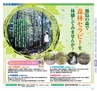 Miyan vol.33