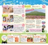 Miyan vol.33