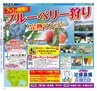 Miyan vol.34