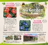 Miyan vol.34