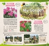 Miyan vol.35