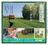 Miyan vol.35