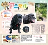 Miyan vol.35