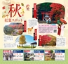 Miyan 2017年　vol.36