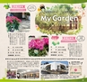 Miyan Vol.37