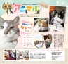 Miyan Vol.37