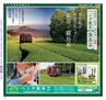 Miyan Vol.37