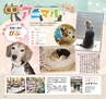 Miyan vol.38