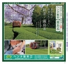 Miyan vol.38