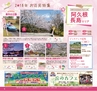 Miyan vol.38